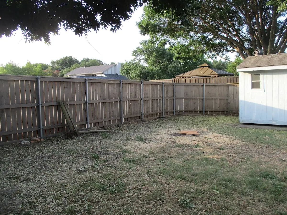 Cleared yard after professional tree removal in Tuckerman